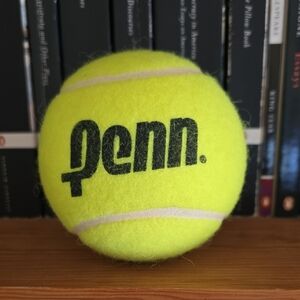 Penn 4" Jumbo Tennis Ball